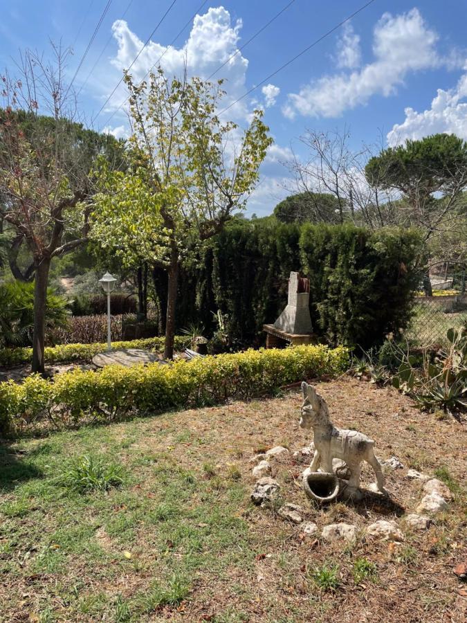 Villa Herlinda Costa Brava - With Swiming Pool Massanet De La Selva Buitenkant foto