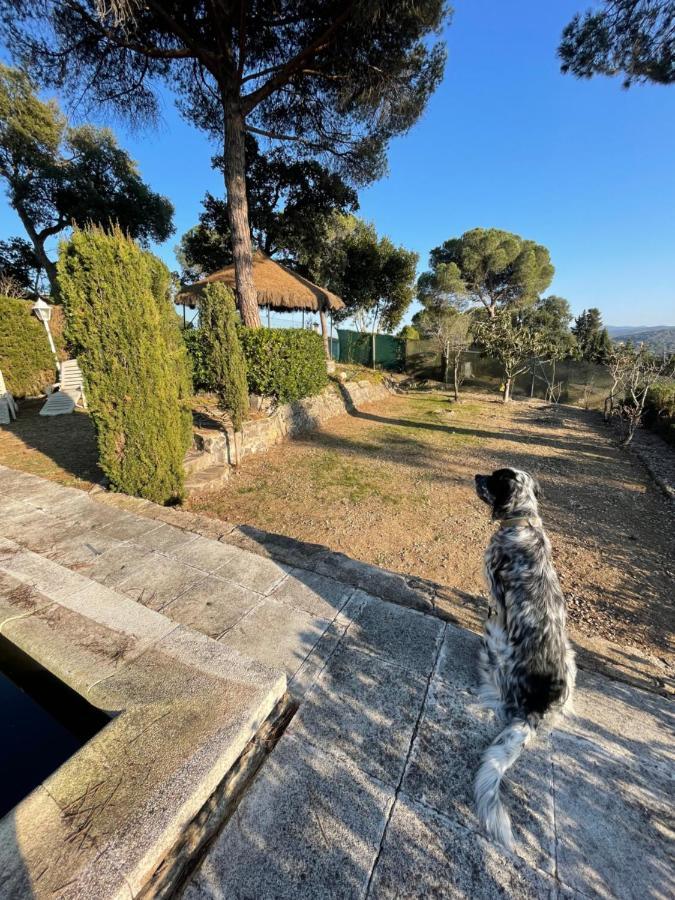 Villa Herlinda Costa Brava - With Swiming Pool Massanet De La Selva Buitenkant foto