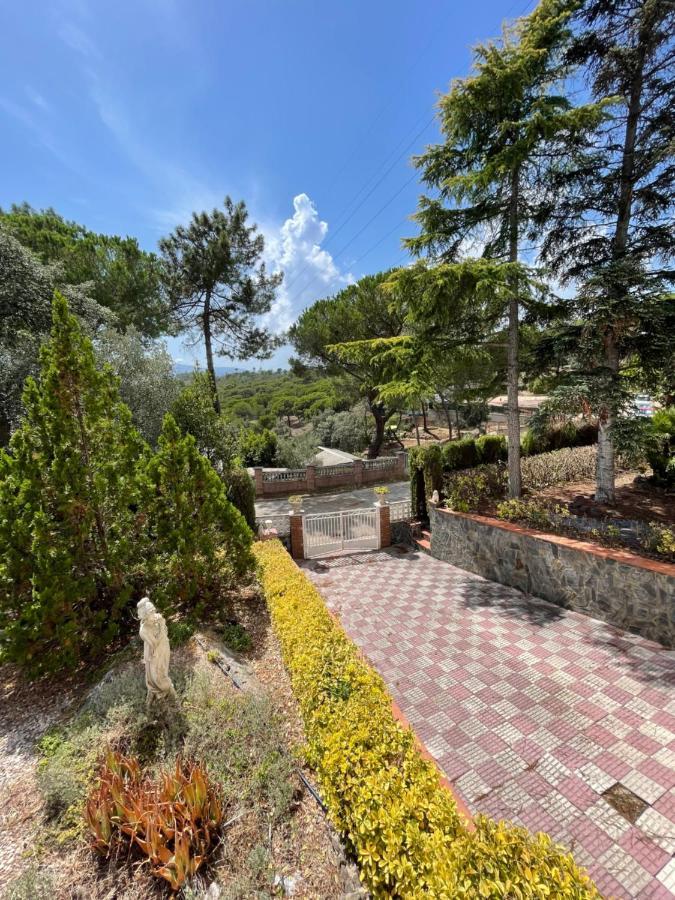 Villa Herlinda Costa Brava - With Swiming Pool Massanet De La Selva Buitenkant foto